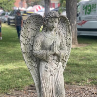 mrsfeagley's profile picture. English Language and History/Political Science Educator, Librarian, World’s Oldest Swiftie