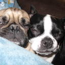 Wayne Yeager - @wayney89 - Twitter