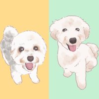 まるむぎのまま (@soqk5yxufmet21o) 's Twitter Profile