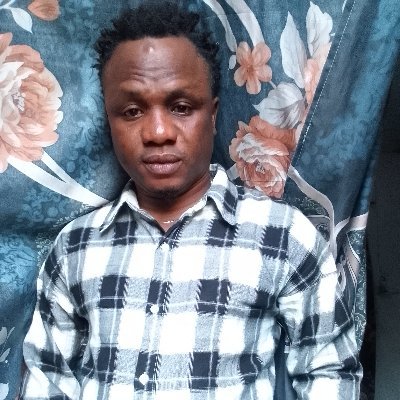 DiekolaKola's profile picture. business