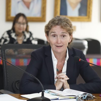 UN Resident Coordinator in Honduras since 13 July 2020. Previously UN Resident Coordinator in Costa Rica.