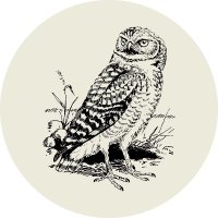 Ink@Kindle海外出版サポート (@globalbooklink) 's Twitter Profile