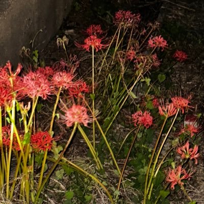 hihihihi313110's profile picture. 