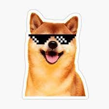 Keeping an Eye on the market 
Now Buying and Hodlin  As Much DOGECOIN  as I can