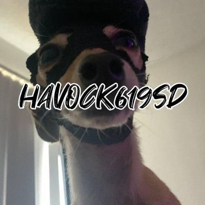 havock619SD2 Profile Picture