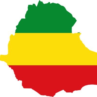 💚💛❤️Proud Ethio-Canadian🍁🍁🍁 God#1, Family#2, & end game #TruthPrevails! High time to #DefendEthiopia! Believe the Almighty God never puts #Ethiopia down!
