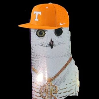 RationalVol Profile Picture