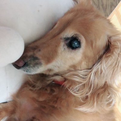 thatnj's profile picture. 