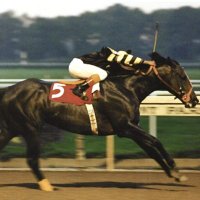 🏇Anthony🏇 (@horseguyanthony) 's Twitter Profile Photo 🏇Anthony🏇 (@horseguyanthony) 's Twitter Profile Photo
