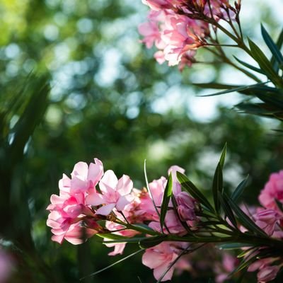 gogo555gog's profile picture. 工場勤務の元教員。なんだかんだで今の楽な暮らしが気に入っています。職場の雰囲気もよく業務終了時間に仕事が終わるなんて天国🥳空いた時間にできる趣味を探しています〜