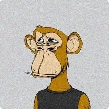 JapaneseGi5643's profile picture. 