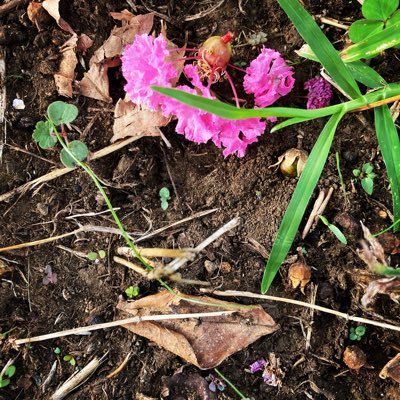 utakatatomomin's profile picture. 探究マニア、修行系、仕組みフェチ。好物はひとの心身の変容。読書メモ:@utakatabooks お仕事:@tomominkikaku