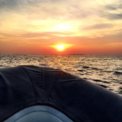 chlotez's profile picture. ex-nomad 💪