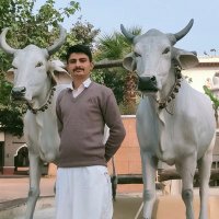 🍏Surender Dhaka ❤❤ (@surende03129319) 's Twitter Profile