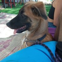 gav (@gaveeegav) 's Twitter Profile