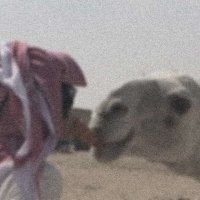 نواف المسعد (@nhvcx10) 's Twitter Profile