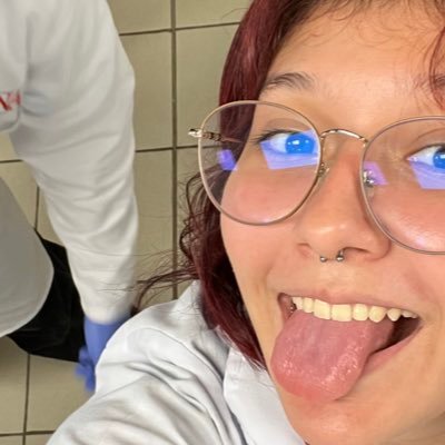 hermosos atardeceres