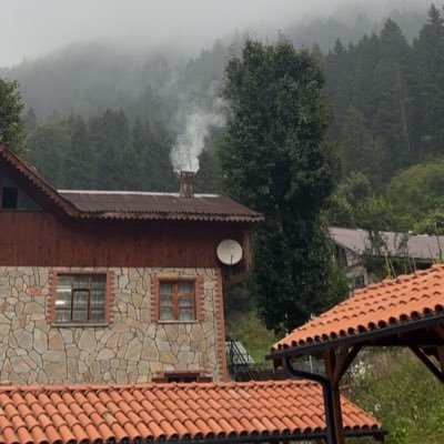 mymo51's profile picture. يا ربّ هب لنا سيرًا نحوَ الجنّة يقودُنا ويسقِي قلوبَنا العطشى♥