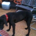 Terry Harbin - @Tedearl - Twitter