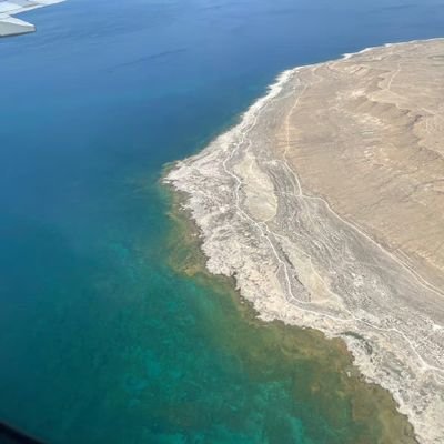 su72821200's profile picture. 冲浪