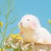 buwii_i (@ibuwii_i) Twitter profile photo buwii_i (@ibuwii_i) Twitter profile photo