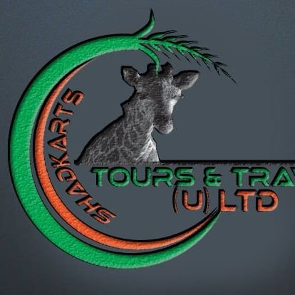 Tour and travel company