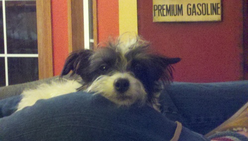 donkahler's profile picture. 