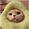 Eveninqz's profile picture. 