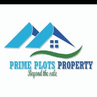 Carol Prime Plots (@goldenchoicepr1) 's Twitter Profile