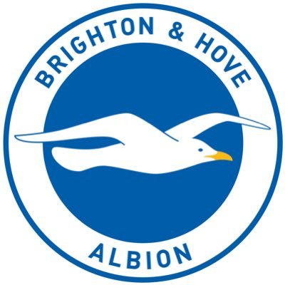 Brighton & Hove Albion Supporter Services Profile