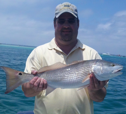 tcwirth's profile picture. 