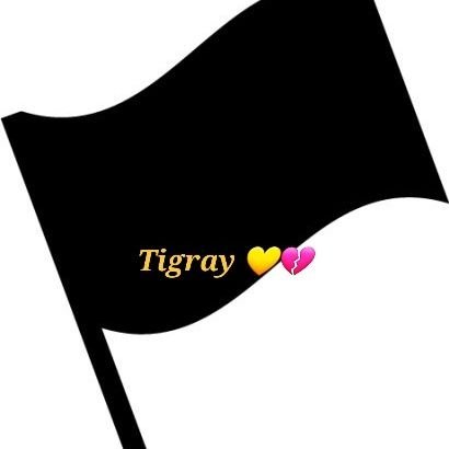 Tigray-Adey💛❤ I stand with Tigray Profile