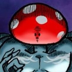 🍄まむあ🍄きのこ神🛐5y3y11m子育て中👶さんのプロフィール画像