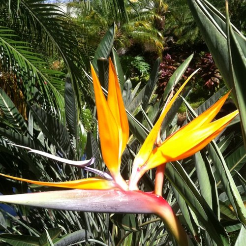 LifeNmyWorld's profile picture. 