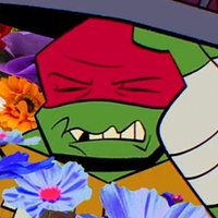 sp¡tf¡re (@turtle_soldiers) 's Twitter Profile Photo sp¡tf¡re (@turtle_soldiers) 's Twitter Profile Photo