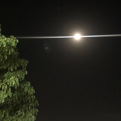 MehdiHoseini_80's profile picture. Civil Engineer Financial Markets Trader Interested in economy and politics