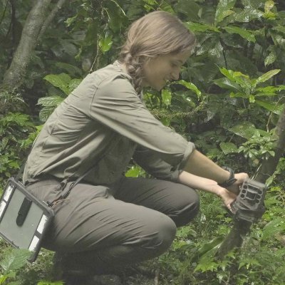 Ph.D from the @UniofOxford
Researching botanical self-medication in wild chimpanzees🌿
