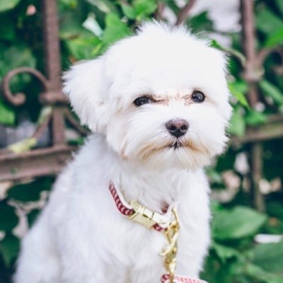 Whystickz3's profile picture. 