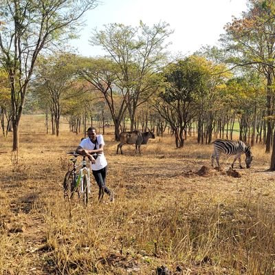 callMe_265's profile picture. 