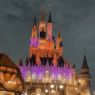 tdS2TDR18jyami's profile picture. しがないDオタです。手下に狂わされてます。🫨twstも好きです。いつかコスプレもしてみたい…！😎無言フォロー失礼します🙇🏻‍♀️՞