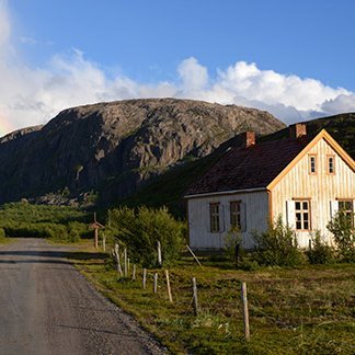 anselmocco's profile picture. 