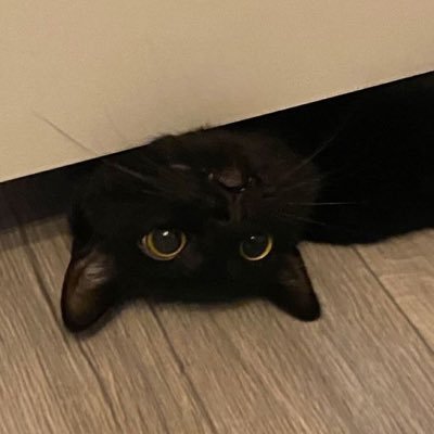 ppyong92432's profile picture. 