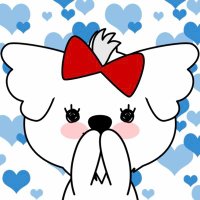 もこもこも@犬のいる暮らし(@chokotanloveko) 's Twitter Profile Photo