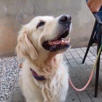 Arantxa🇪🇦💚🇪🇸 (@arantxa42149417) 's Twitter Profile Photo Arantxa🇪🇦💚🇪🇸 (@arantxa42149417) 's Twitter Profile Photo