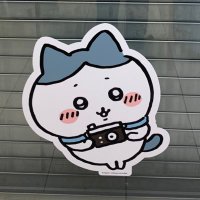 めめ (@ri_s02) 's Twitter Profile Photo めめ (@ri_s02) 's Twitter Profile Photo