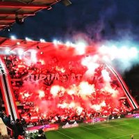 Dries (@dries_rscl) 's Twitter Profile Photo