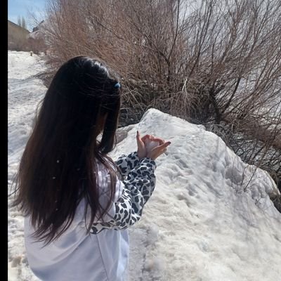«گاهیاوقاتقراراستکهدرپیله درد/ نم نمک شاپرکی خوشگل و زیبا بشوی»
