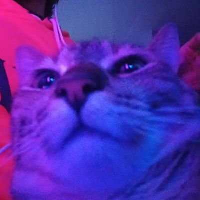 CapiSinEspacio's profile picture. aderezo tipo ranchero 😎
dibujo cuando quiero y puedo, mas quiero que puedo...