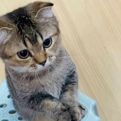 EKaidash53825's profile picture. 