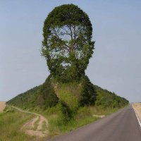 MD Nahid Khan Khan (@mdnahidkhankha2) 's Twitter Profile